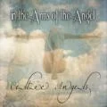 In the Arms of the Angel (original Performed by Sarah McLachlan) coverart