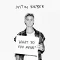 What Do You Mean? coverart
