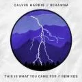 This Is What You Came For (feat. Rihanna) - Extended Mix coverart