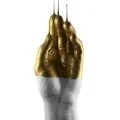 Gold coverart