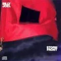 We Didn't Start the Fire coverart