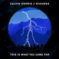 This Is What You Came For coverart